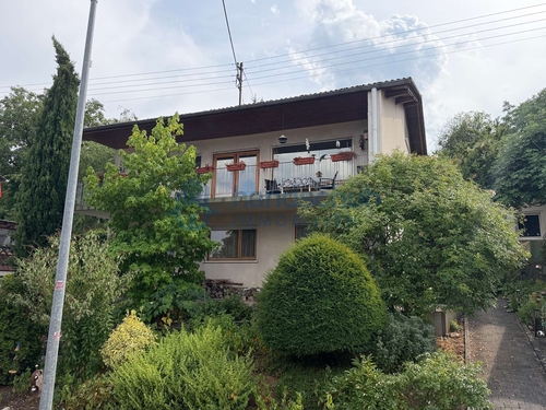 Vorderansicht - freistehendes Einfamilienhaus mit Ausblick in Guldental