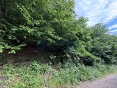 Das Grundstück3 - Freizeitgrundstück in Feilbingert