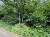 Das Grundstück2 - Freizeitgrundstück zum Kaufen in Feilbingert