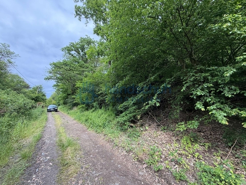 Weg nach oben 2 - 