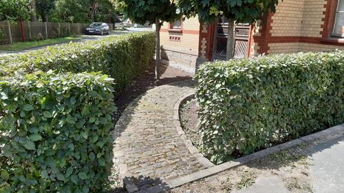 20200626_124213 - 16 Zimmer Mehrfamilienhaus, Wohnhaus in Mörsdorf b Stadtroda