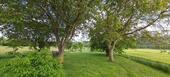 20250520_162638 - 5 Zimmer Einfamilienhaus in Großeutersdorf