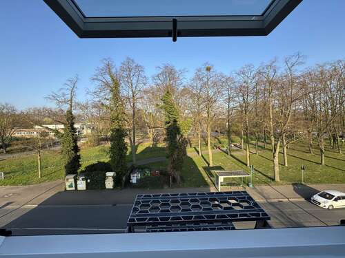 Wohnküche Fenster - 