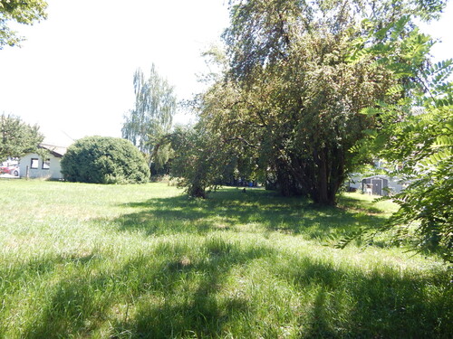 Impressionen - Grundstück in Piding