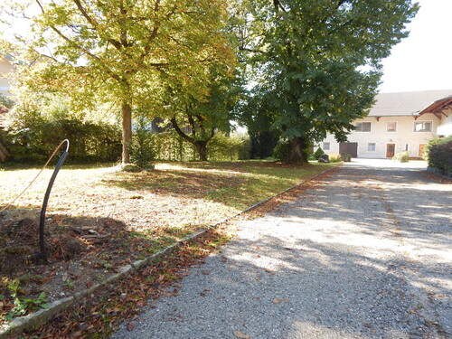 Impressionen - Grundstück in Teisendorf zum Kaufen