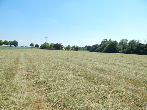 Foto - Landwirtschaftlicher Grund als Geldanlage - in 84529 TittmoningSüdbayern, Nähe Leitgeringer See