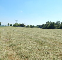 Landwirtschaftlicher Grund als Geldanlage - in 84529 TittmoningSüdbayern, Nähe Leitgeringer See