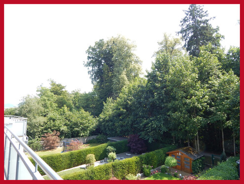 Ausblick - 