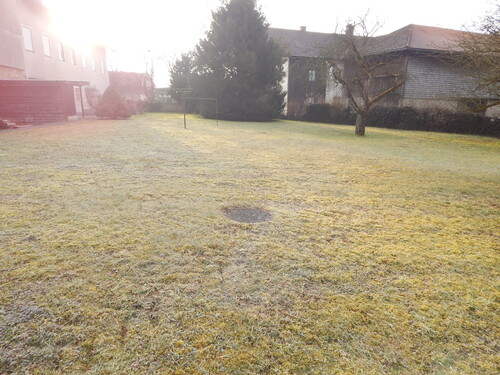 DSCN7101 - 