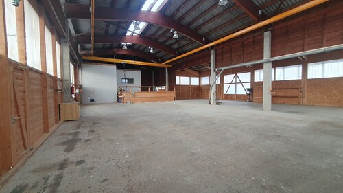 Halle - 