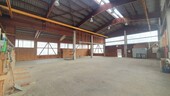 Halle - 