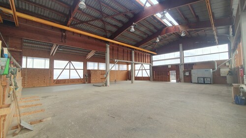 Halle - 