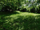 Impressionen - Grundstück zum Kaufen in Ainring