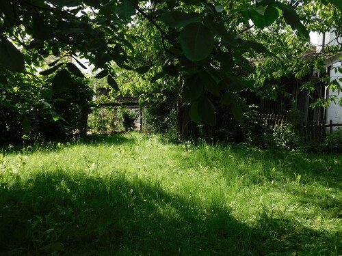 Impressionen - 
