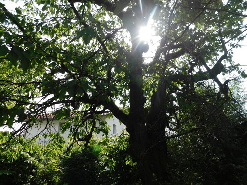 Impressionen - Grundstück in Ainring