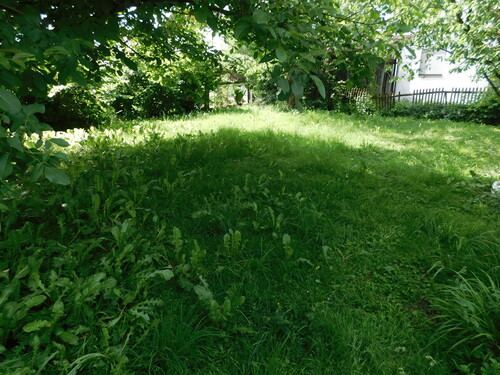 Impressionen - Sonniges Baugrundstück für DHH in 83404 Ainring - kein Bauzwang - derzeit 6.120 Euro Mieteinnahmen