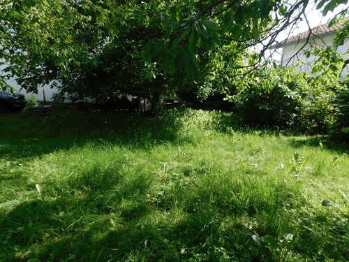 Impressionen - Grundstück in Ainring zum Kaufen