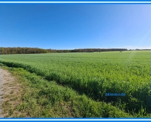 3,3 ha Ackerland bei Chörau und Dessau Mosigkau