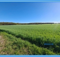 3,3 ha Ackerland bei Chörau und Dessau Mosigkau
