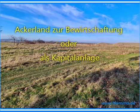 Acker zur Bewirtschaftung oder zur Kapitalanlage - Grundstück in Darlingerode