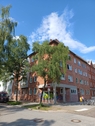 Außenansicht1 - Mehrfamilienhaus, Wohnhaus zum Kaufen in Kiel