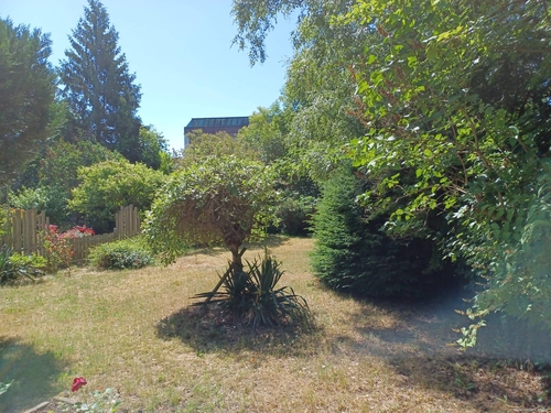 Garten - 