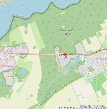 Lageplan - 2 Zimmer Etagenwohnung in Selmsdorf