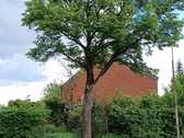 20260520_165547 - Reihenendhaus mit 97,00 m&sup2; in Lübeck zum Kaufen