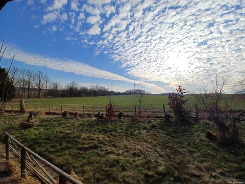 Ausblick - 4 Zimmer Zweifamilienhaus zum Kaufen in Zarpen