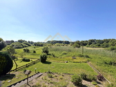 Ausblick vom Balkon - 