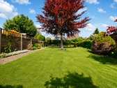Garten - 