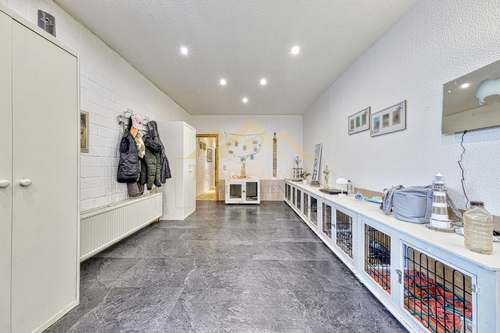 Ausstellungsraum/Lagerbereich - 