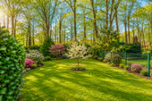 Garten - 