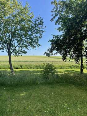 Blick über die Felder - 