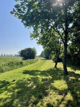 Grün hinter dem Grundstück - 