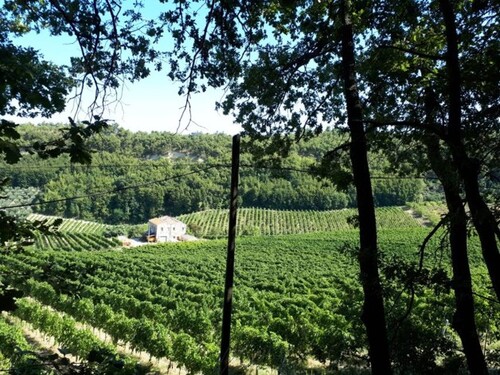 Bild 2 - Grundstück zum Kaufen in RIPATRANSONE