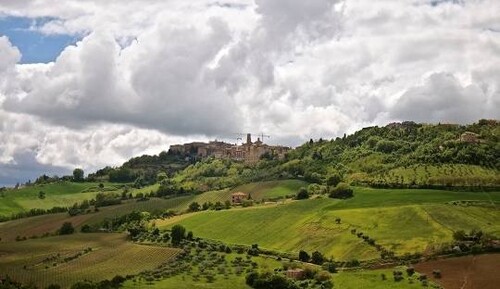 Bild 2 - Grundstück zum Kaufen in Montalto delle Marche