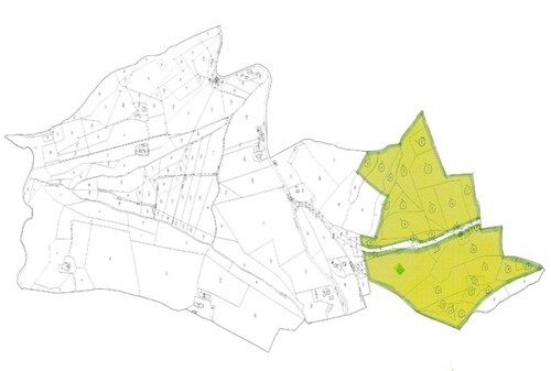Bild 3 - Grundstück in Montalto delle Marche