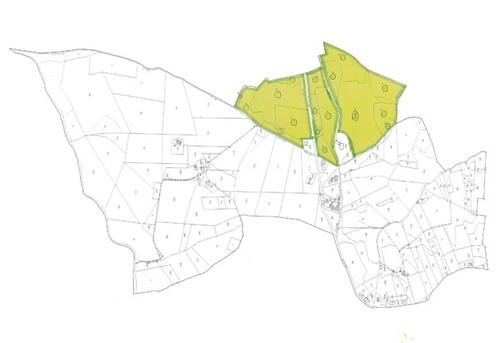 Bild 4 - Grundstück in Montalto delle Marche zum Kaufen