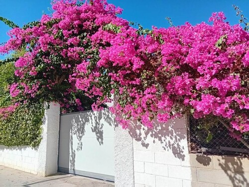 Bild 3 - 4 Zimmer Etagenwohnung in Alicante