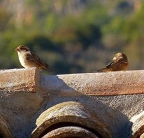 Wohnung nah am Meer - 250.000,00 EUR Kaufpreis, ca.  110,00 m² Wohnfläche in Riccione (PLZ: 47383)