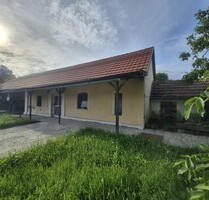 Im Komitat Somogy ein 163m2 Mehrgenerationhaus mit 3890m2 - Szökedencs