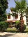 Bild 3 - 3 Zimmer Einfamilienhaus in Ortaca Mugla