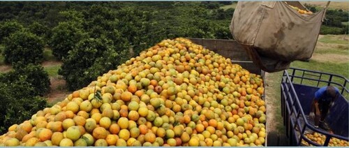 Bild 2 - Grundstück zum Kaufen in Manaus