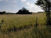 Bild 1 - 8 ha mit Bebauungsmöglichkeit - 300.000,00&nbsp;EUR Kaufpreis, ca.&nbsp; 80.000,00&nbsp;m&sup2;