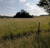 8 ha mit Bebauungsmöglichkeit - 300.000,00 EUR Kaufpreis, ca. 80.000,00 m² in Zalewo (PLZ: 14230) 8 ha mit Bebauungsmöglichkeit - 300.000,00 EUR Kaufpreis, ca. 80.000,00 m² in Zalewo (PLZ: 14230)