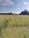Bild 3 - Grundstück in Zalewo