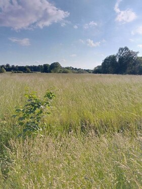 Bild 3 - Grundstück in Zalewo