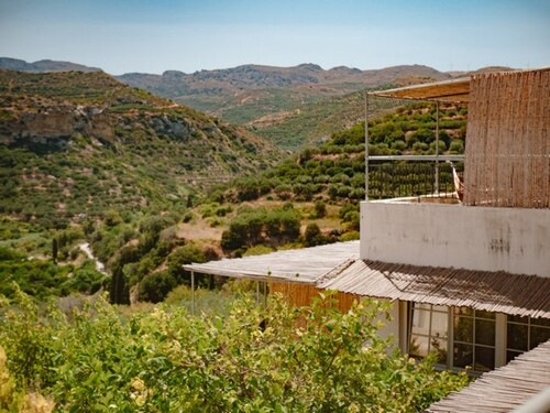 Bild 1 - Villa und Gästehaus direkt am Olivenhain auf Kreta