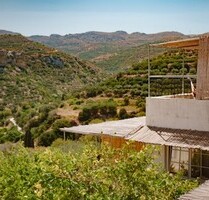 Villa und Gästehaus direkt am Olivenhain auf Kreta - Maronia